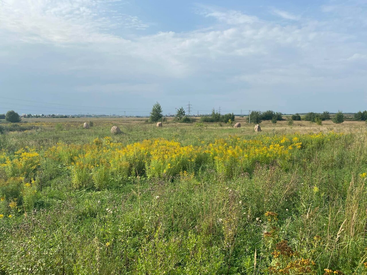 Круг Души. Россия. Московская область, Подольский район. Общий вид