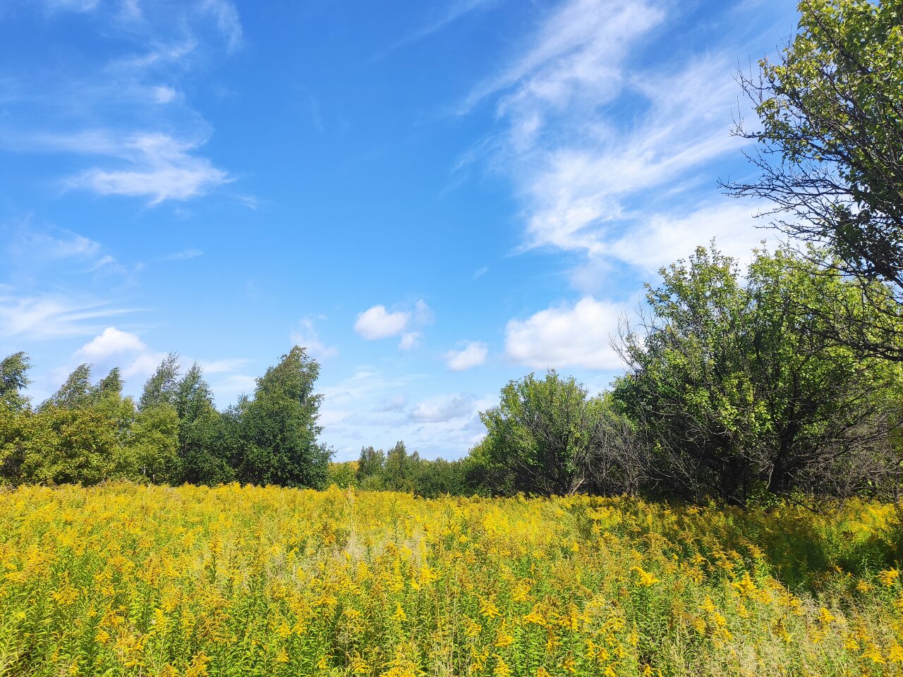 Круг Души. Россия. Хабаровск, Дальний Восток. В окрестностях