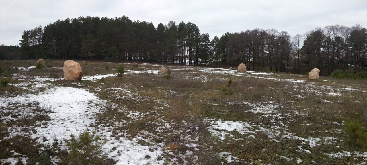 Круг Души. Беларусь. Мозырь. Общий вид