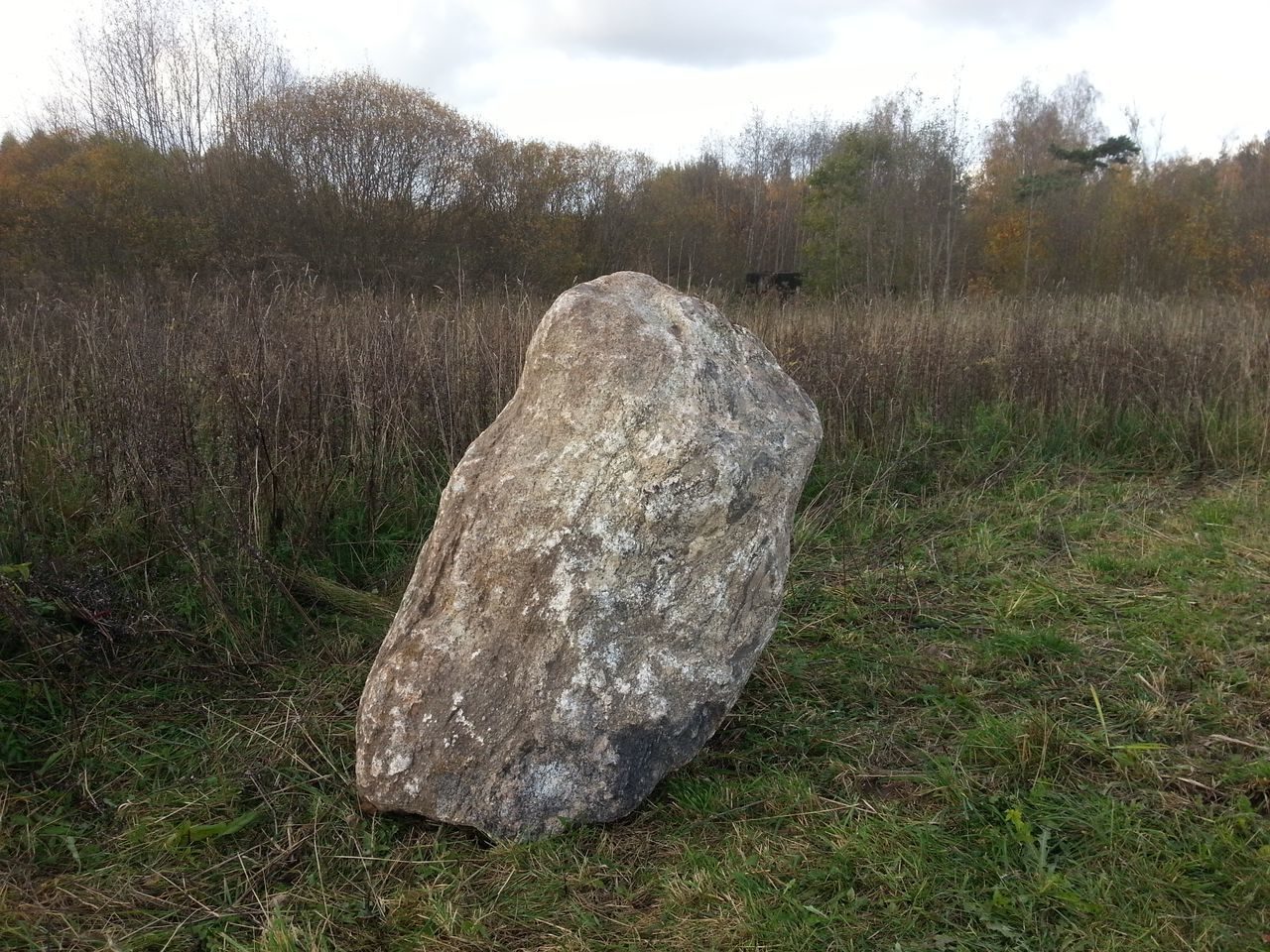 Круг Души. Латвия. Добеле. Камень Закат